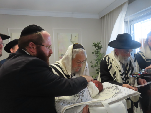 ברית מילה עם הרב דב קליין