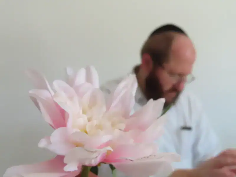 פרח עדין ורוד מטושטש עם דמות של המוהל דב קליין ברקע סמל לרגישות והתקווה בטקס ברית מילה להורים פרודים